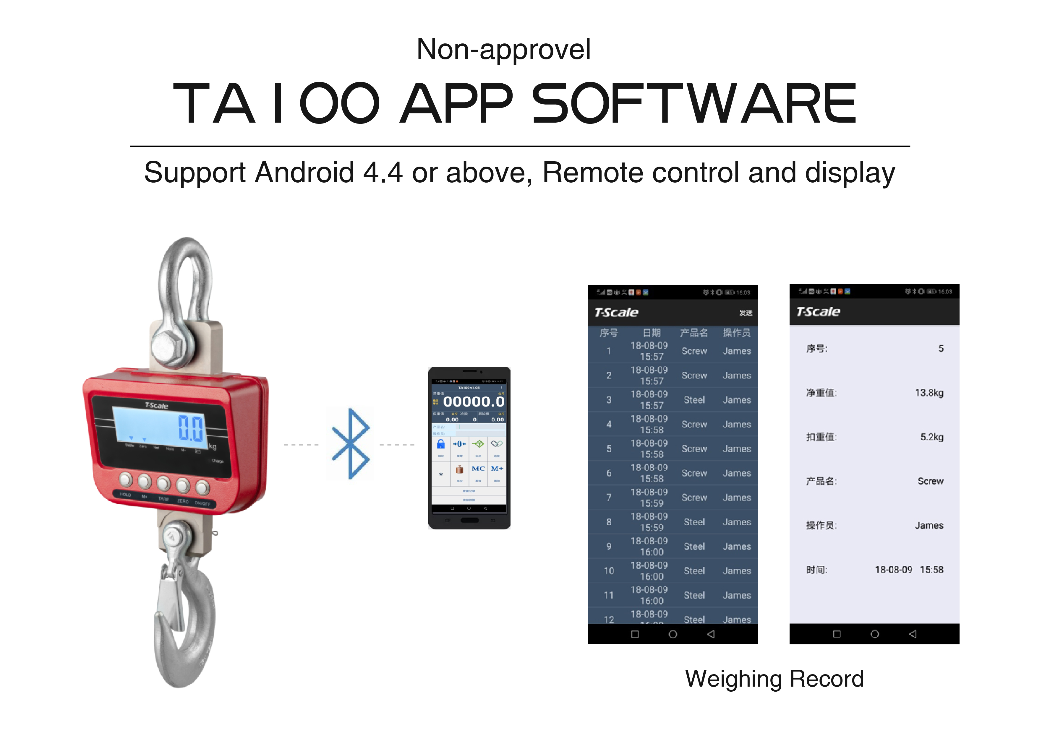 TN Precision Dinamometro 3t